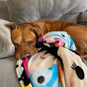 Meet your Posher, Shannon